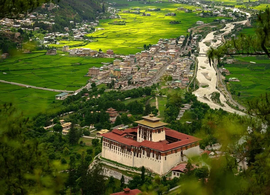 Paro